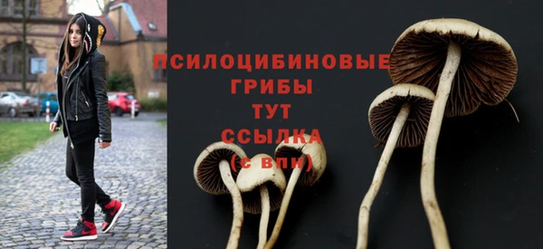 а пвп мука Аркадак