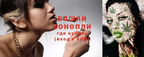 ГАЛЛЮЦИНОГЕННЫЕ ГРИБЫ Баксан