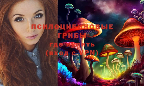 ГАЛЛЮЦИНОГЕННЫЕ ГРИБЫ Баксан